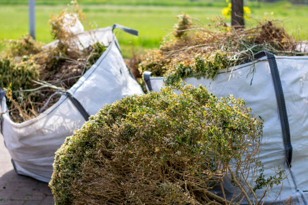Best Commercial Junk Removal  in Scobey, MT