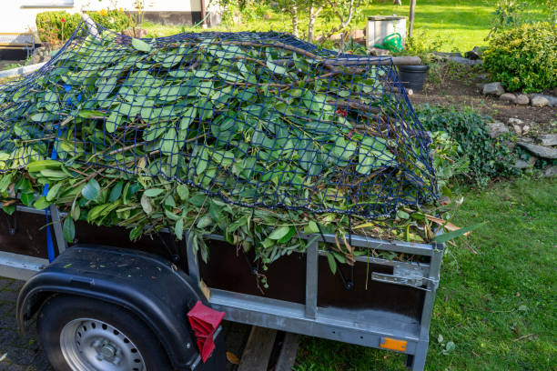 Best Residential Junk Removal  in Scobey, MT